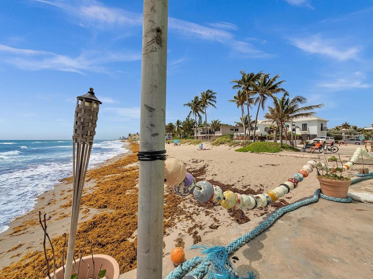 The Shell On Walnut Studio With Bath Hollywood Beach Free Parking Dania Beach Exterior photo